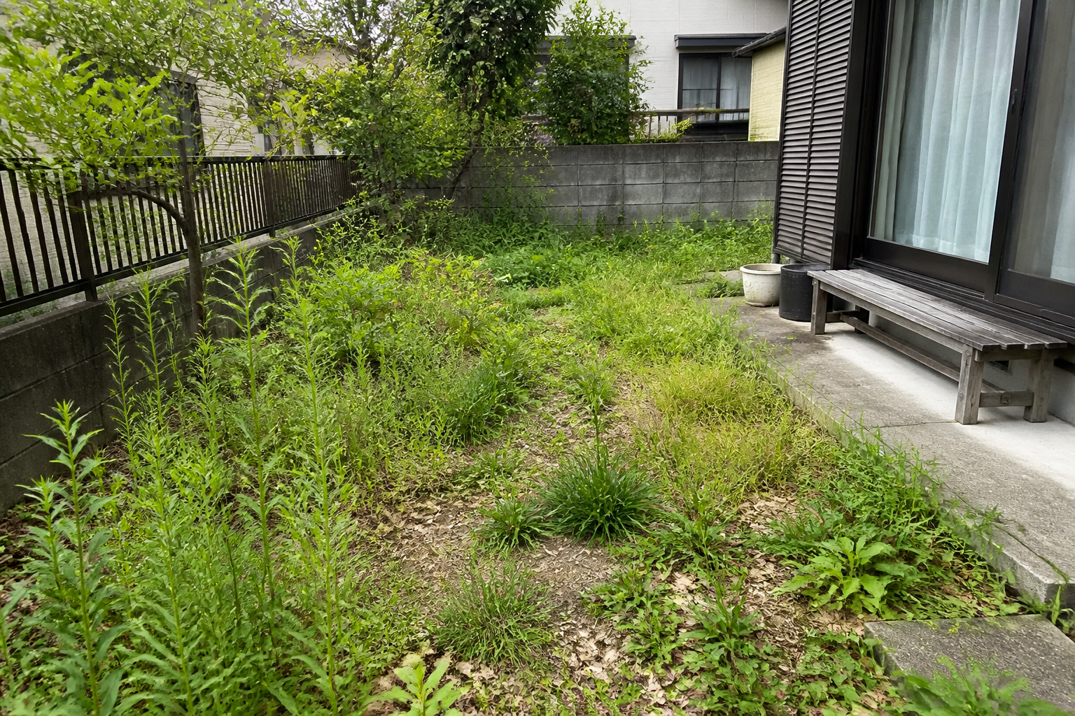 草むしり前の庭